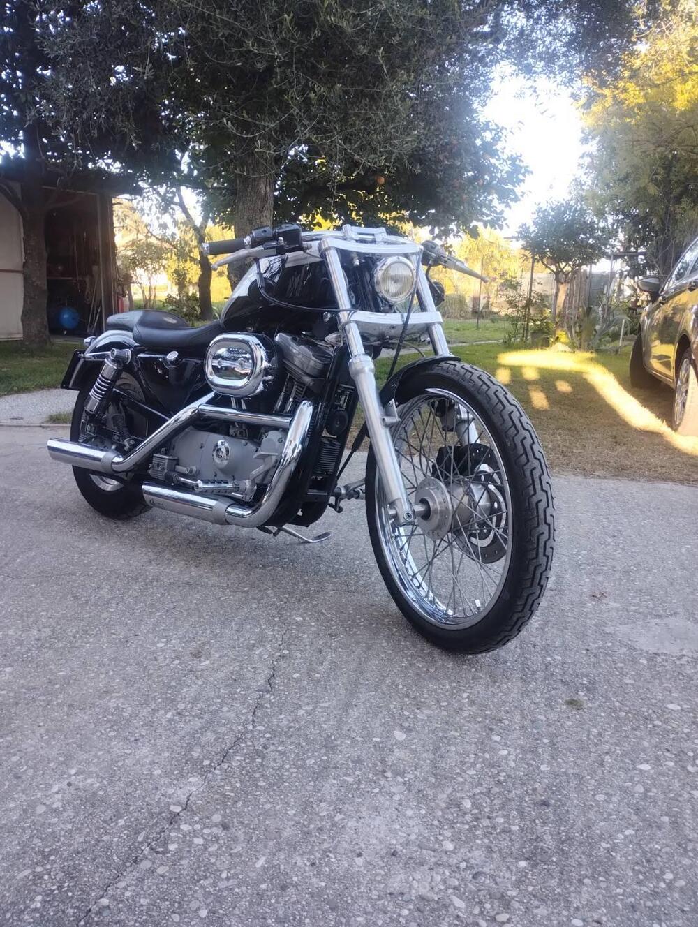 Harley-Davidson 883 Standard (2001 - 05) - XL 883 (4)