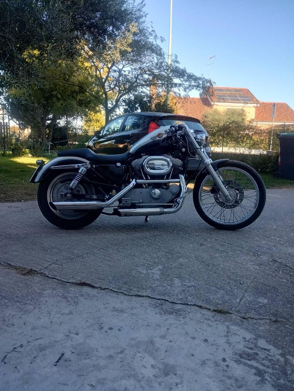 Harley-Davidson 883 Standard (2001 - 05) - XL 883 (5)