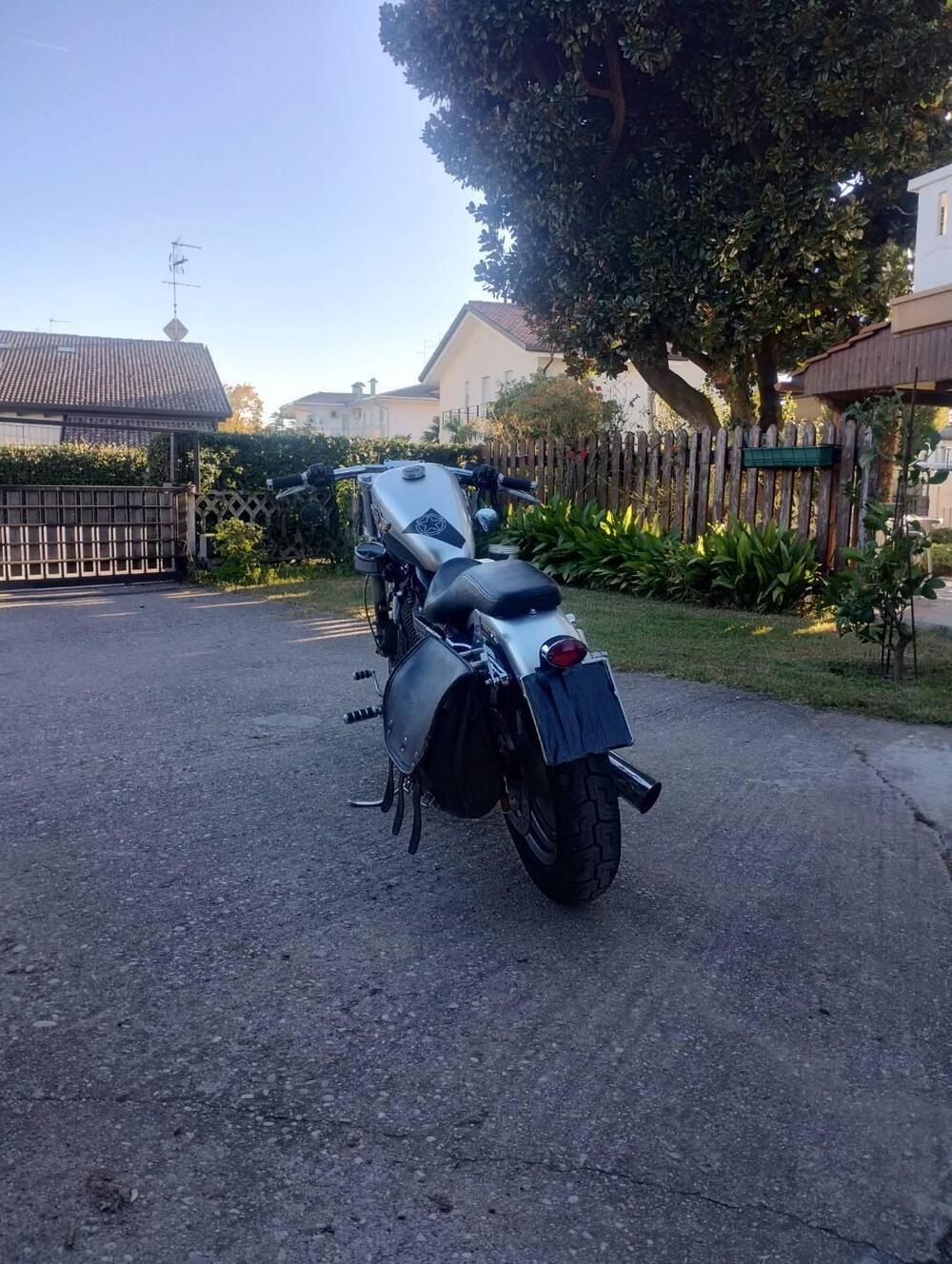 Harley-Davidson 883 Standard (2001 - 05) - XL 883 (6)