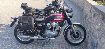 Kawasaki W 800 (2021 - 26) usata