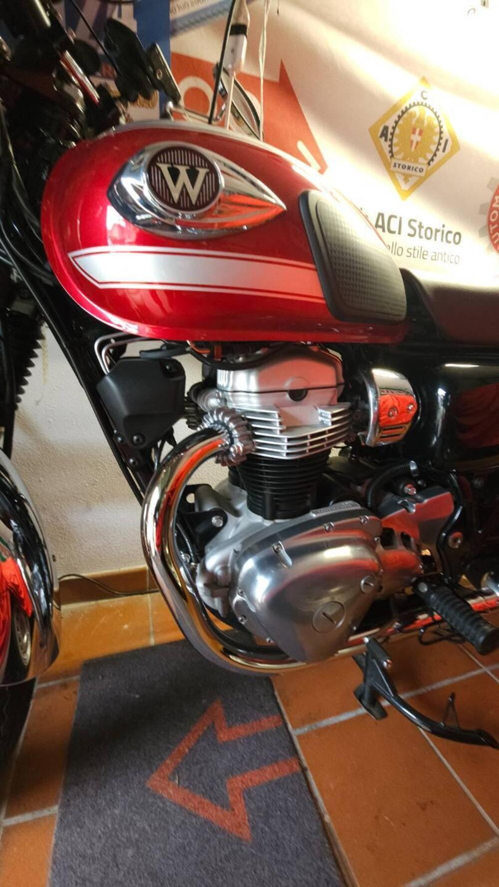 Kawasaki W 800 (2021 - 26) (3)