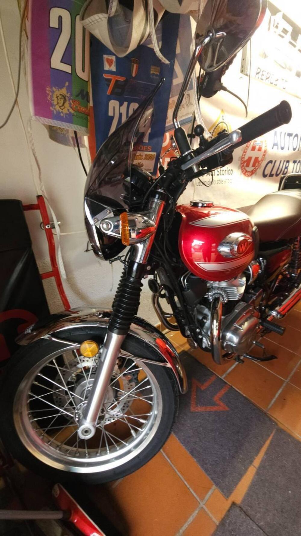 Kawasaki W 800 (2021 - 26) (4)