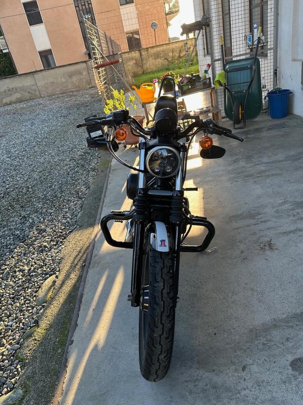 Harley-Davidson 883 Iron (2012 - 14) - XL 883N (3)