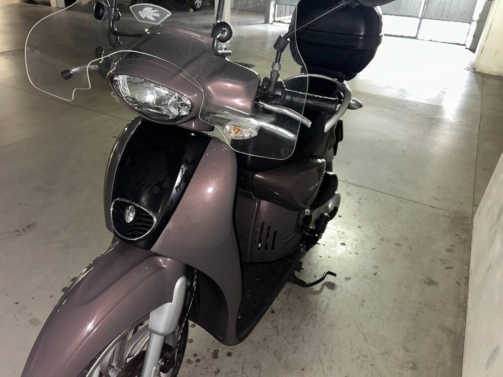 Aprilia Scarabeo 50 4t 4V (2009 - 17) (6)