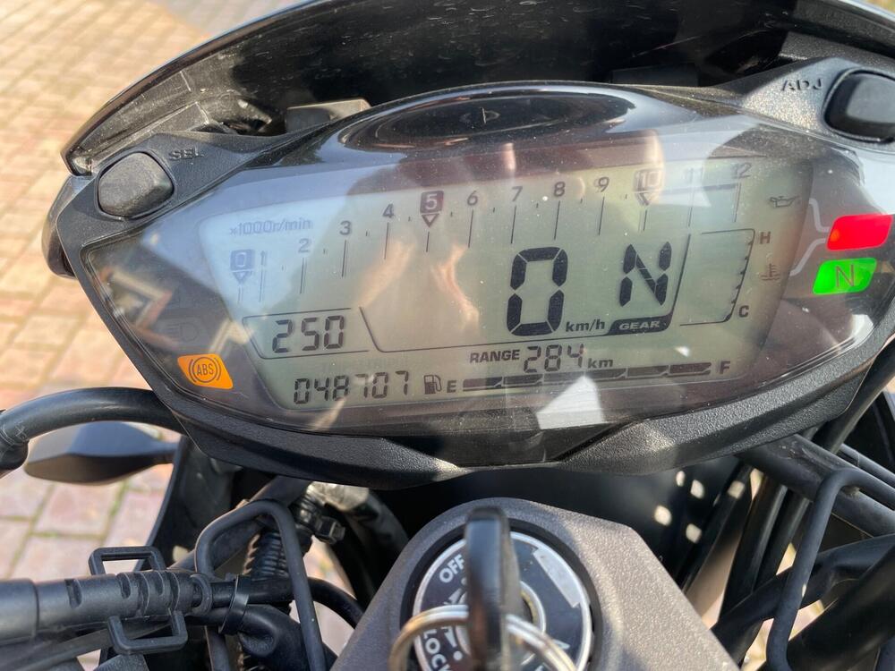 Suzuki SV 650 X - Ter (2018 - 20) (8)