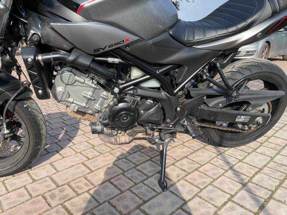 Suzuki SV 650 X - Ter (2018 - 20) (10)