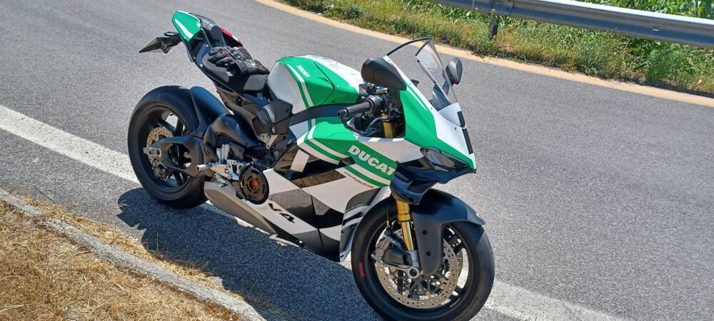 Ducati Panigale V4 Tricolore (2025 - 26)
