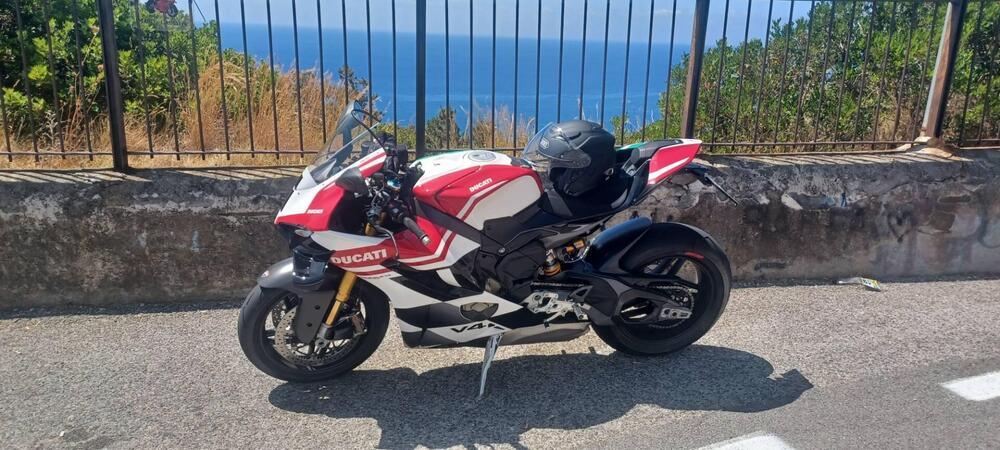 Ducati Panigale V4 Tricolore (2025 - 26) (2)