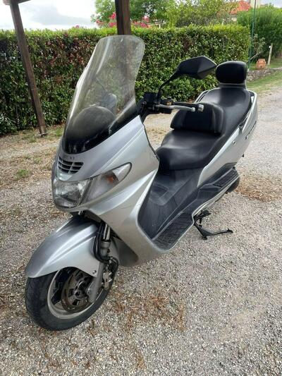 Suzuki Burgman AN 250 (2001 - 03) usata