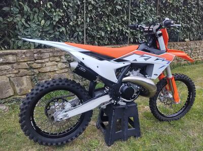 KTM 250 SX (2023) usata