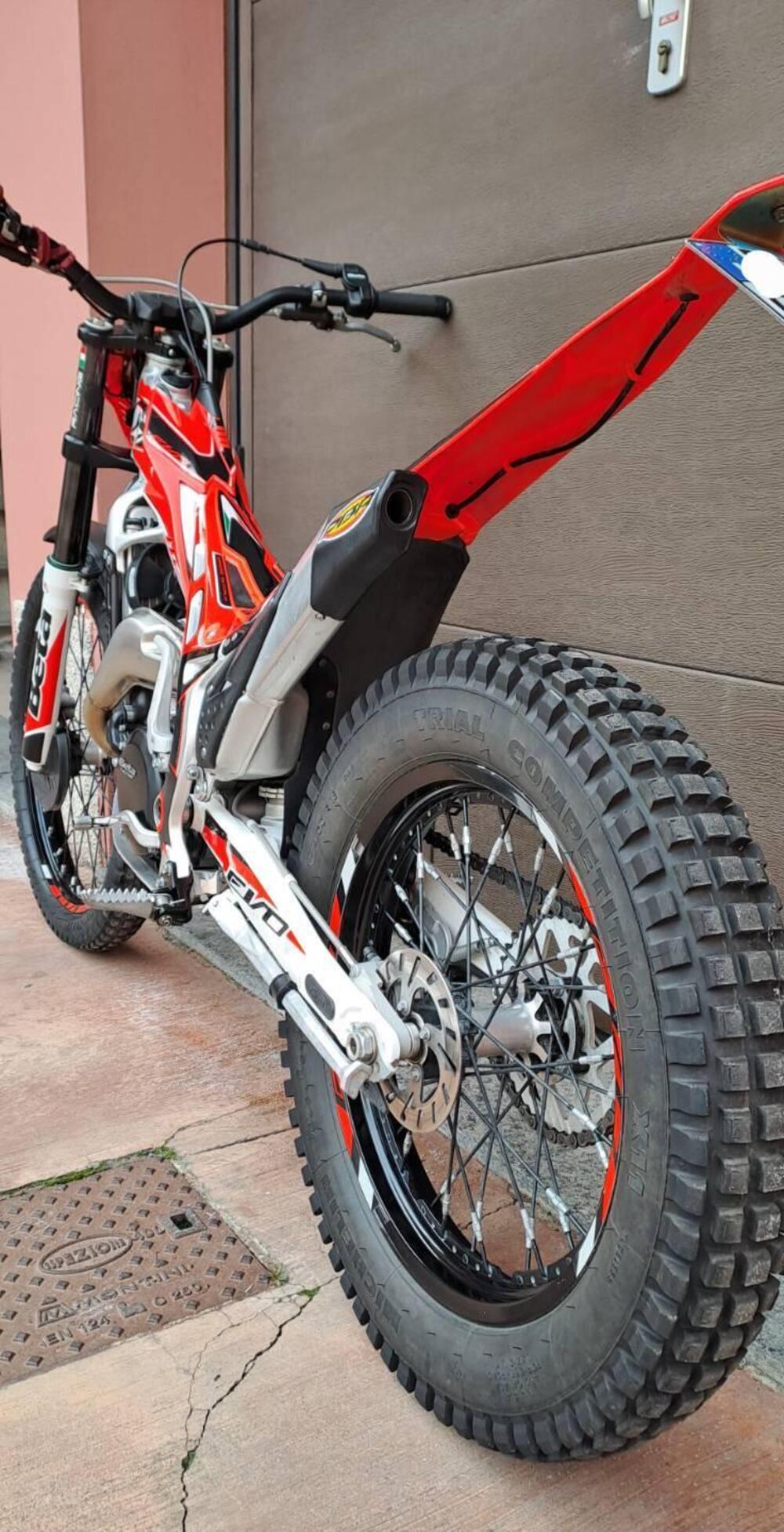 Betamotor Evo 300 2t (2017 - 18) (5)