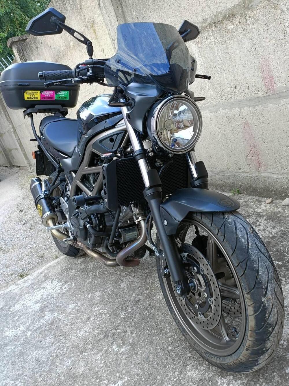 Suzuki SV650 (2021 - 24) (3)