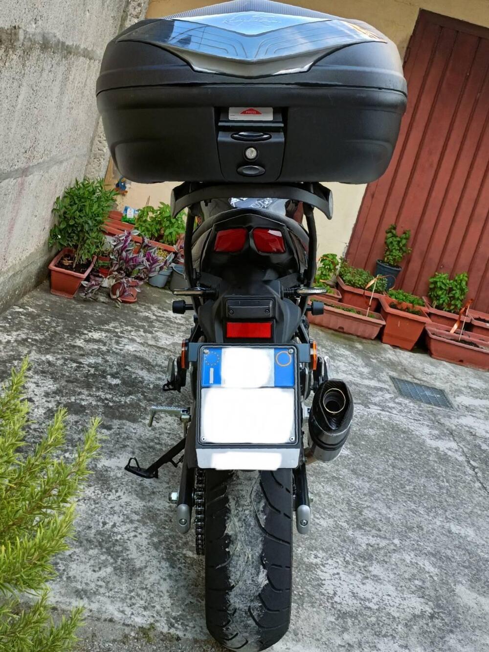 Suzuki SV650 (2021 - 24) (4)