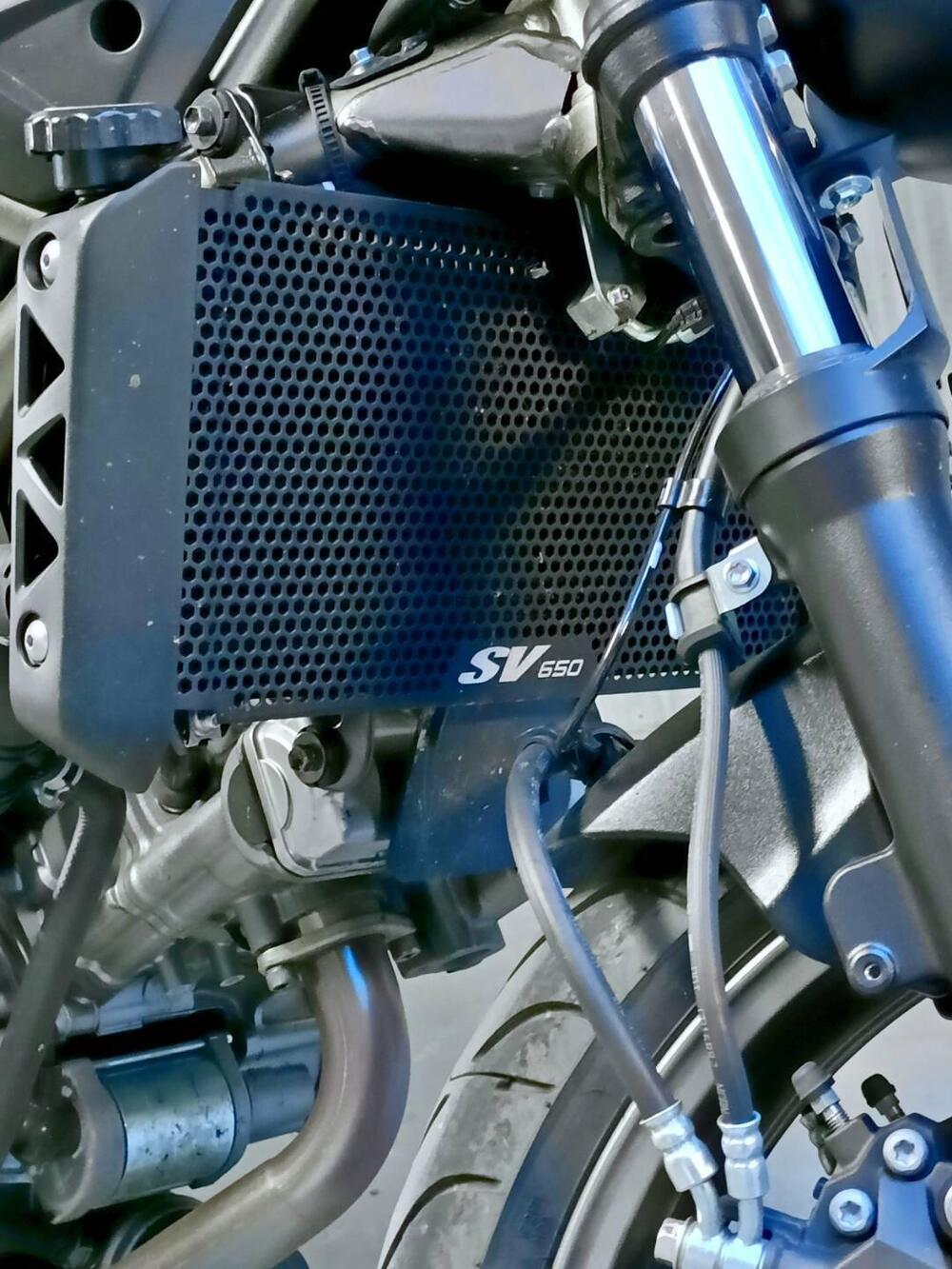 Suzuki SV650 (2021 - 24) (9)