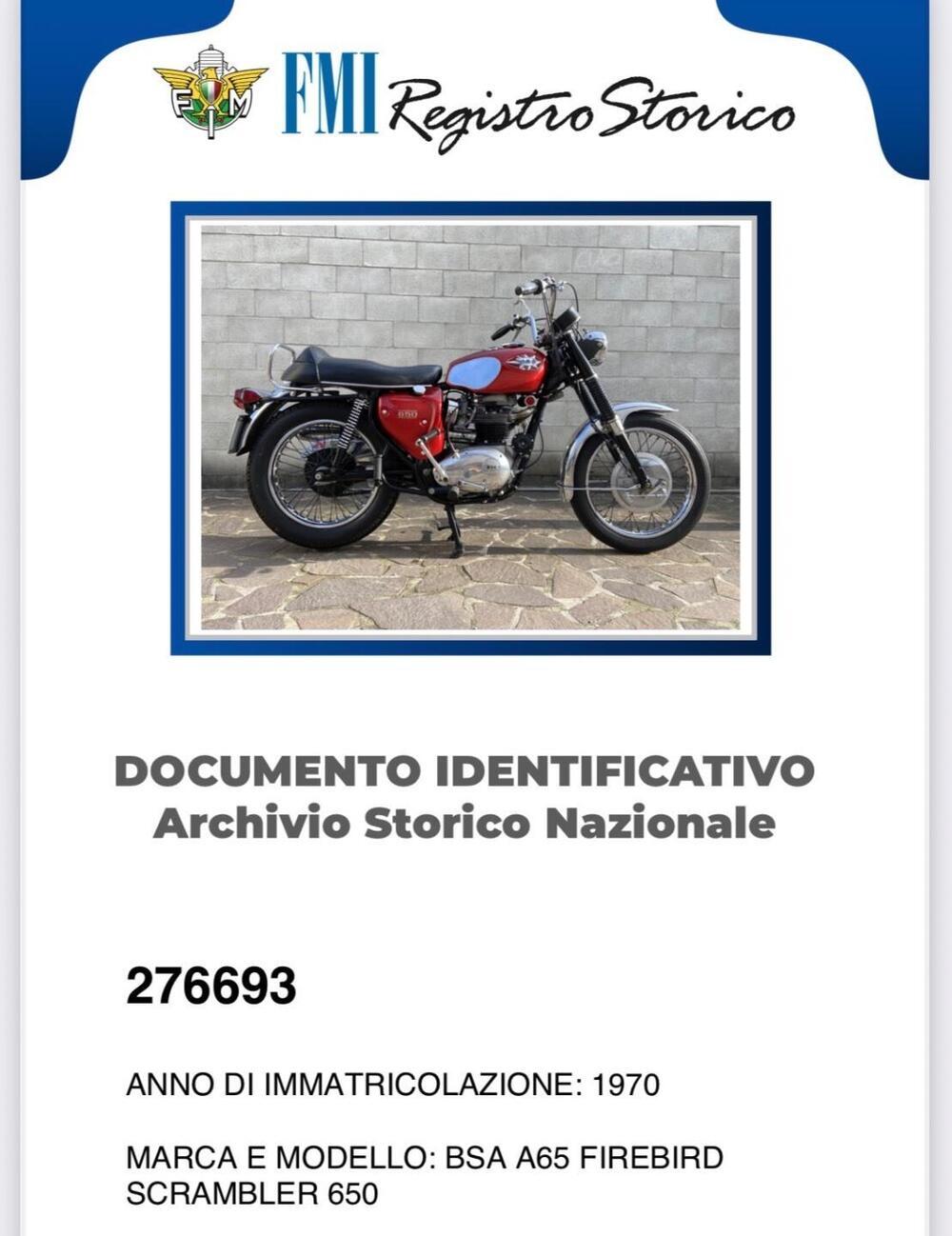 Bsa A65 FIREBIRD SCRAMBLER 650 TARGA ORO FMI (5)