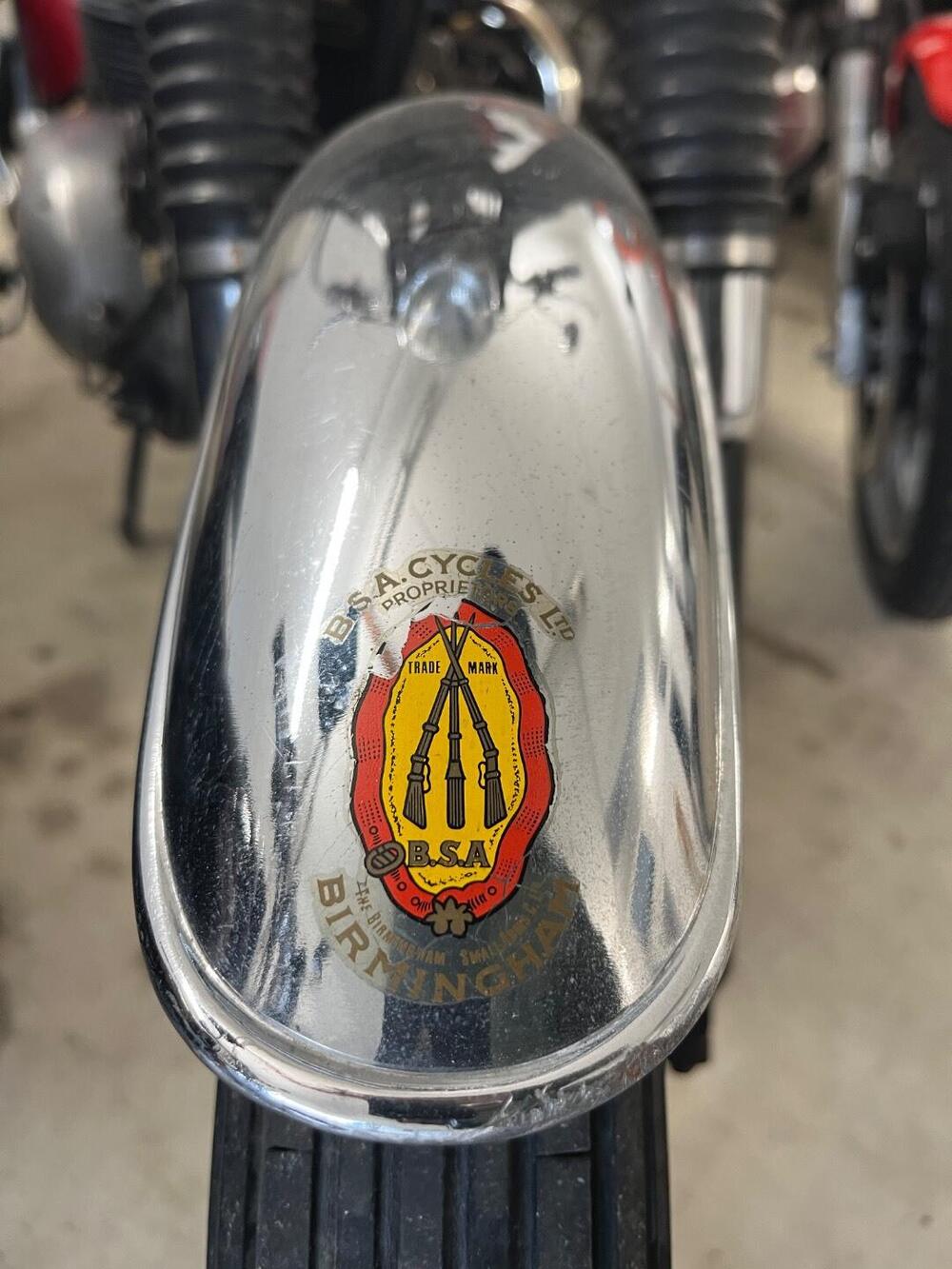 Bsa A65 FIREBIRD SCRAMBLER 650 TARGA ORO FMI (7)