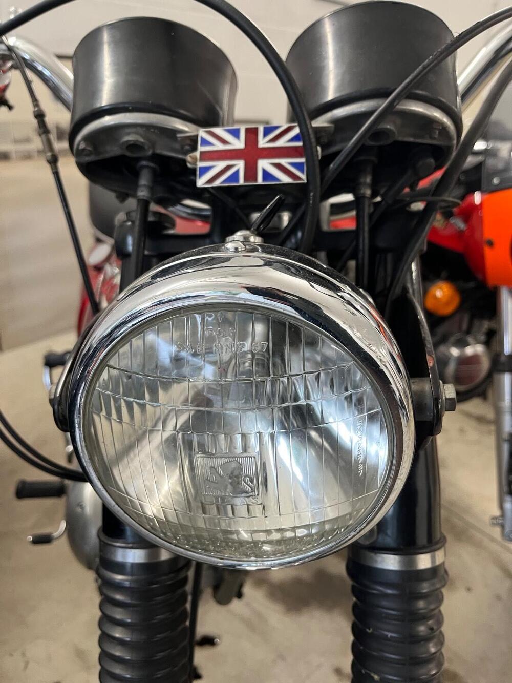 Bsa A65 FIREBIRD SCRAMBLER 650 TARGA ORO FMI (8)