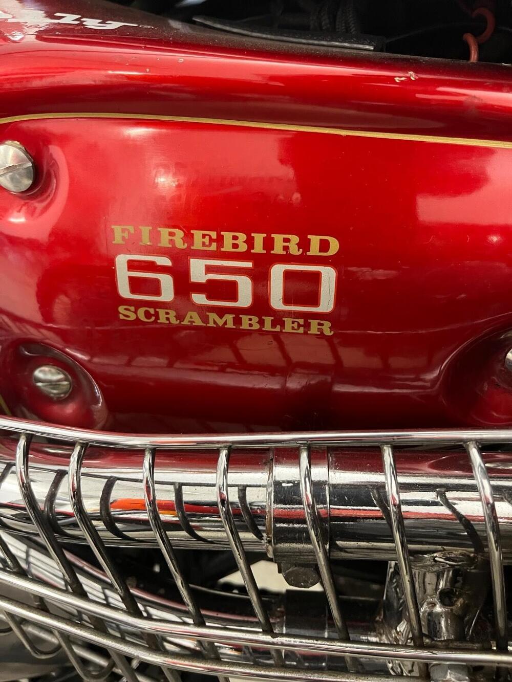 Bsa A65 FIREBIRD SCRAMBLER 650 TARGA ORO FMI (9)