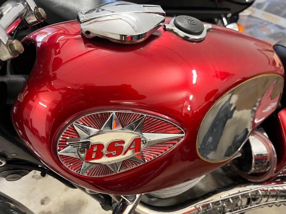 Bsa A65 FIREBIRD SCRAMBLER 650 TARGA ORO FMI (12)