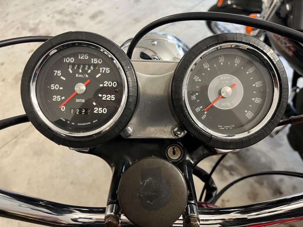 Bsa A65 FIREBIRD SCRAMBLER 650 TARGA ORO FMI (13)