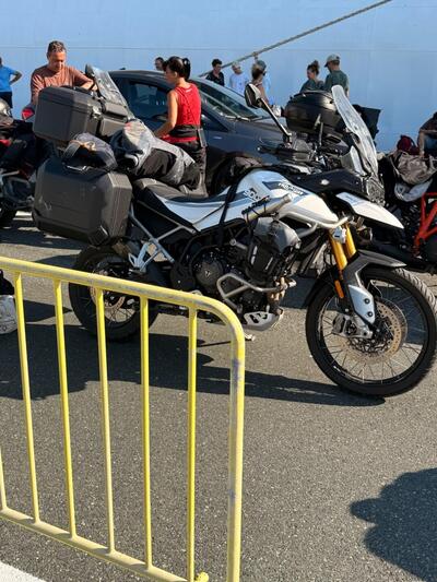 Triumph Tiger 900 Rally (2020 - 23) usata