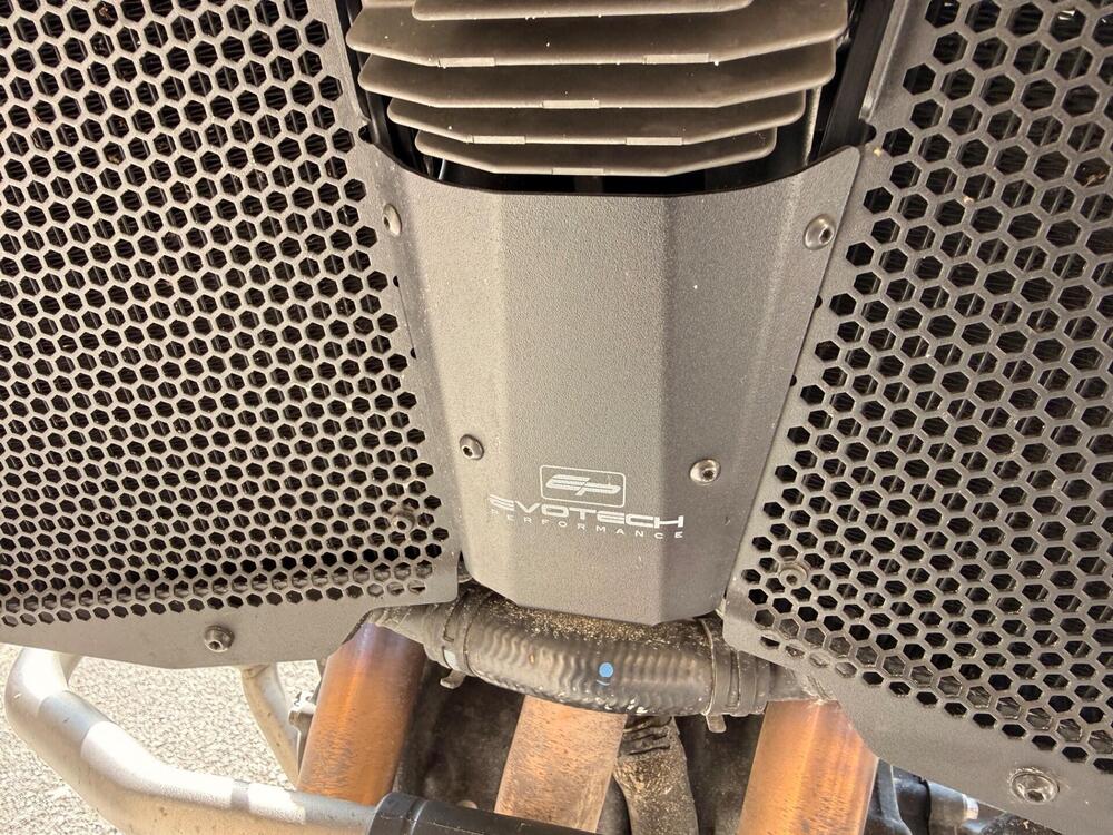 Triumph Tiger 900 Rally (2020 - 23) (16)