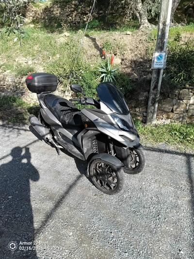 Quadro QV3 Edelweiss (2019) usata