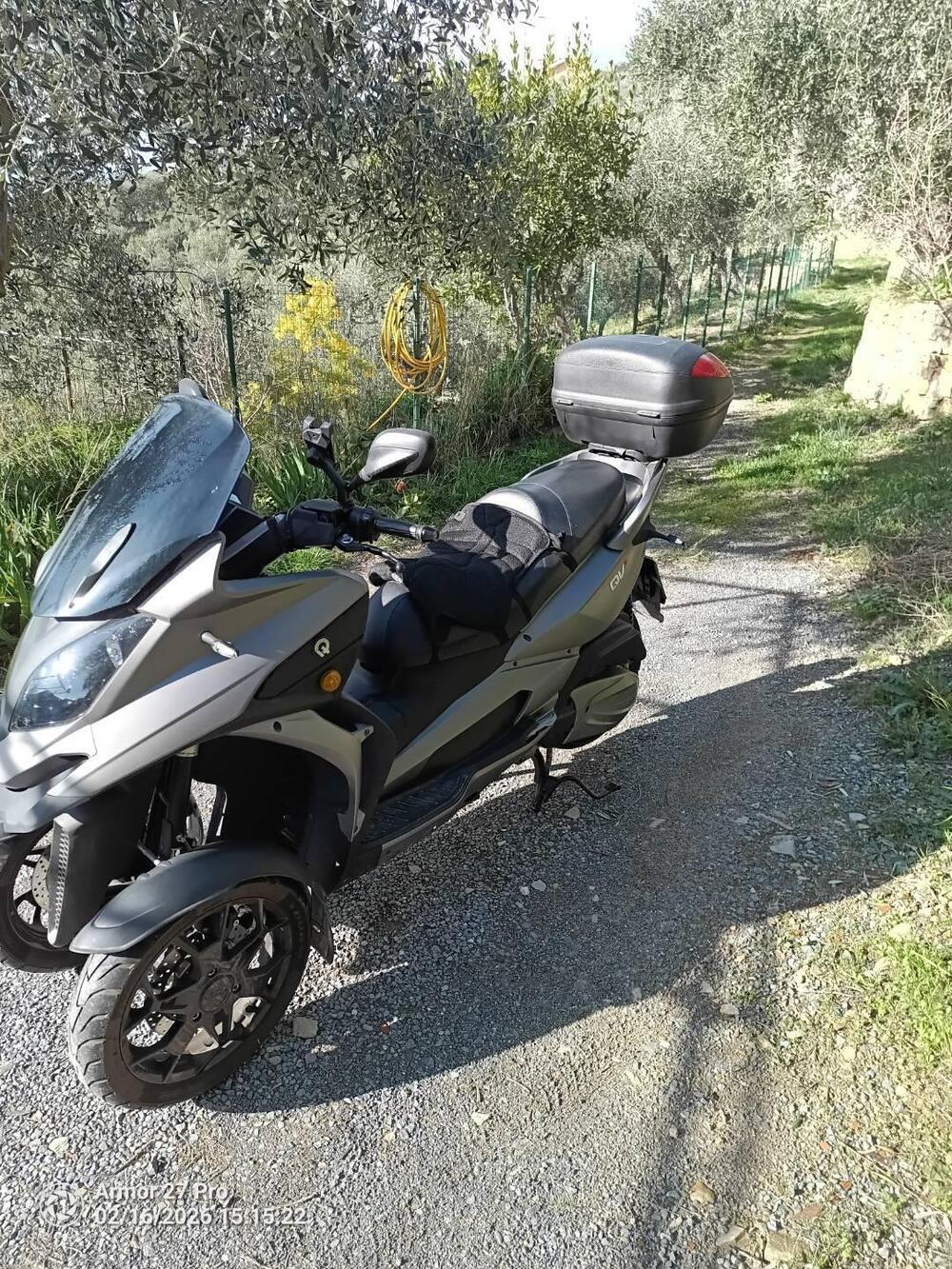 Quadro QV3 Edelweiss (2019) (4)