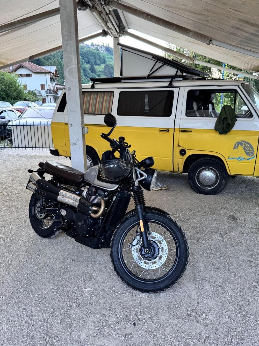 Triumph Scrambler 900 Icon Edition (2025 - 26) (3)