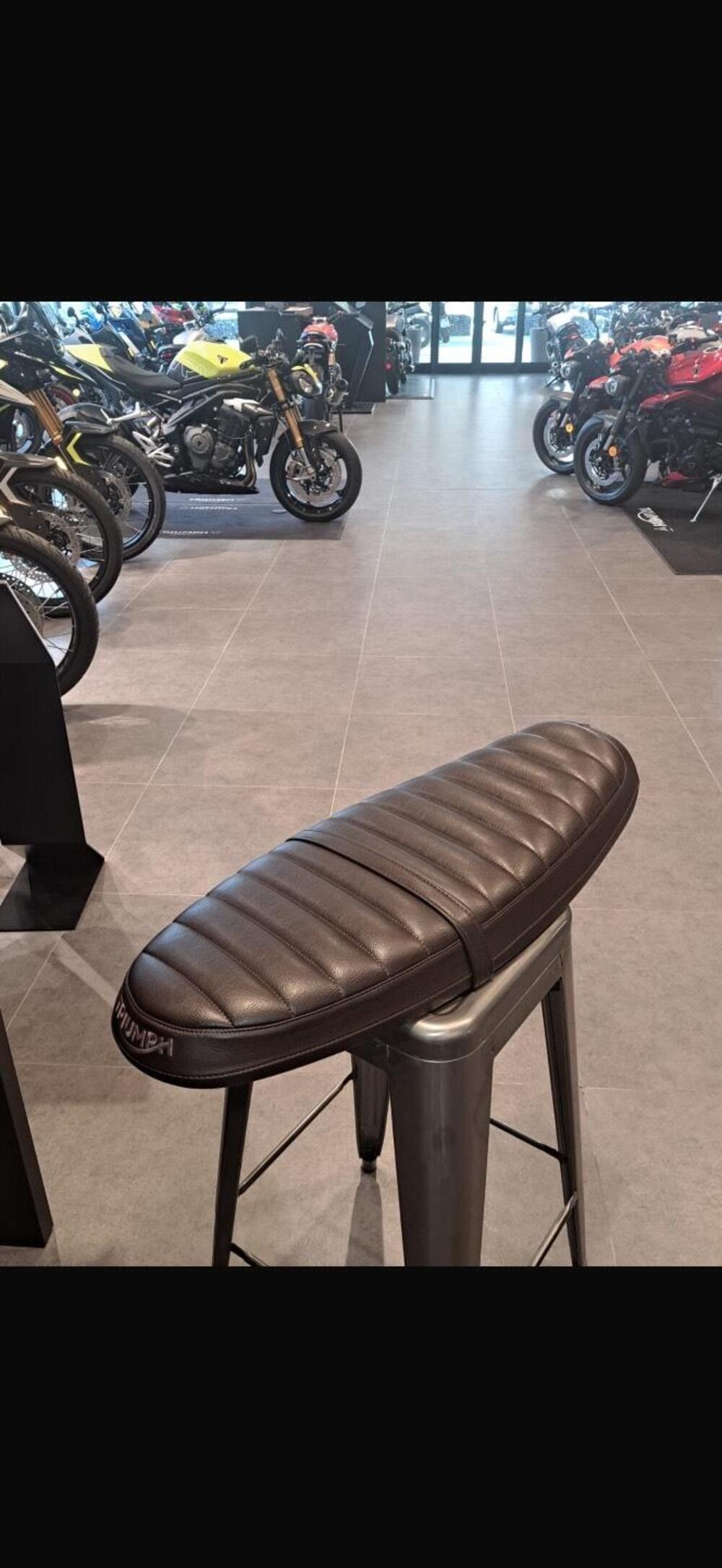 Triumph Scrambler 900 Icon Edition (2025 - 26) (4)