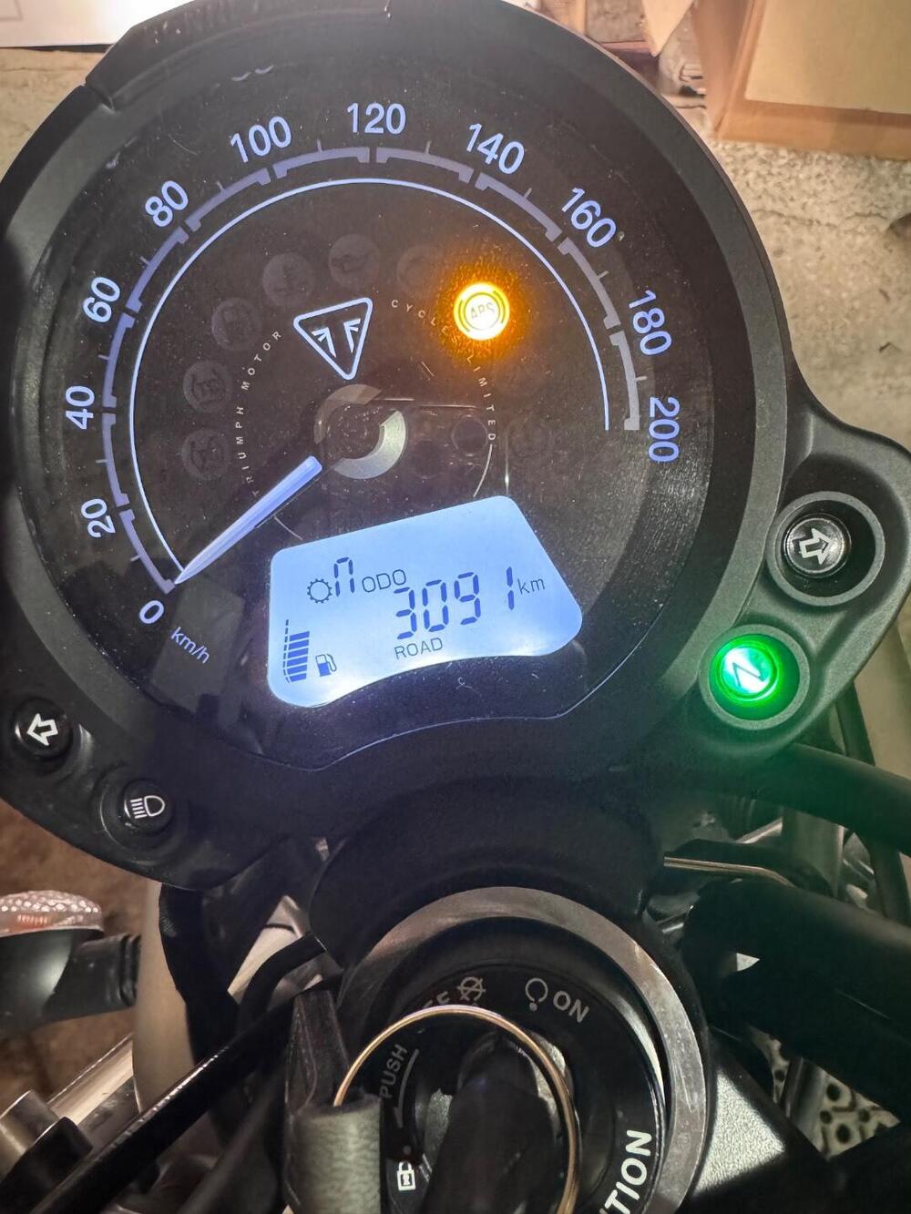 Triumph Scrambler 900 Icon Edition (2025 - 26) (5)