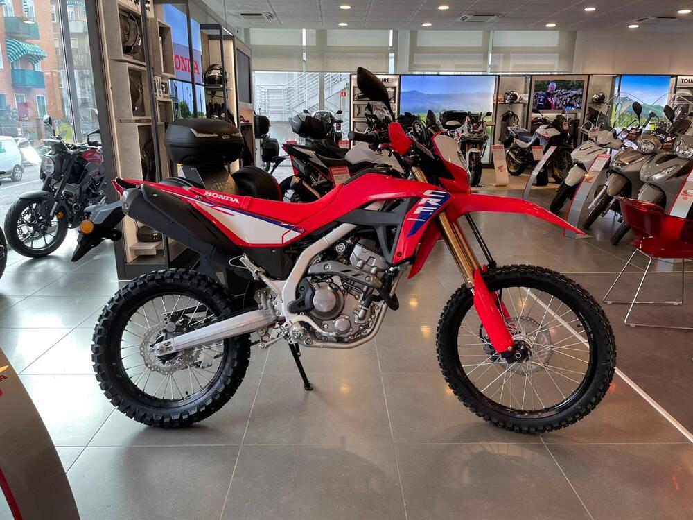 Honda CRF 300L (2025 - 26)
