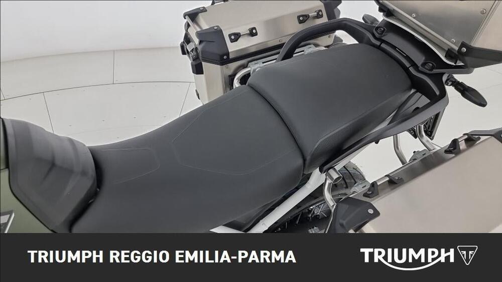 Triumph Tiger 900 Rally Pro (2020 - 23) (13)