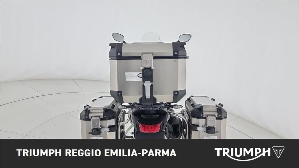 Triumph Tiger 900 Rally Pro (2020 - 23) (14)
