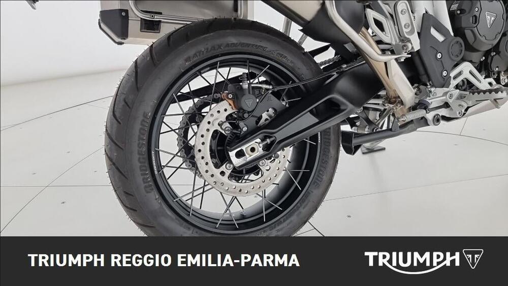 Triumph Tiger 900 Rally Pro (2020 - 23) (16)