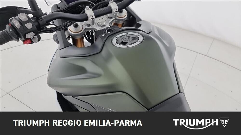 Triumph Tiger 900 Rally Pro (2020 - 23) (12)