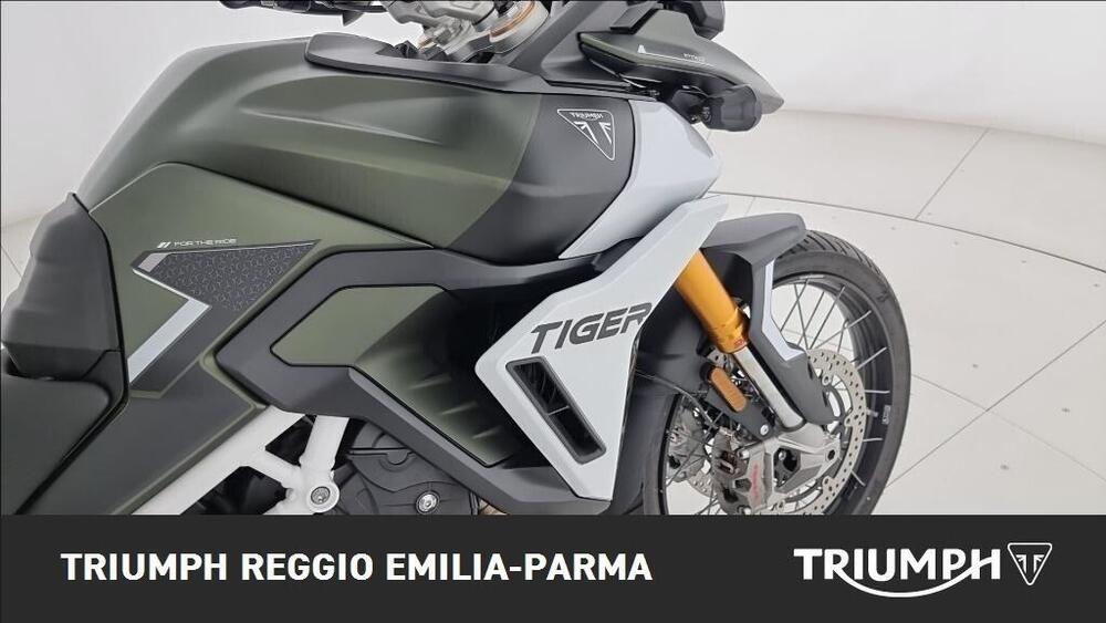 Triumph Tiger 900 Rally Pro (2020 - 23) (20)