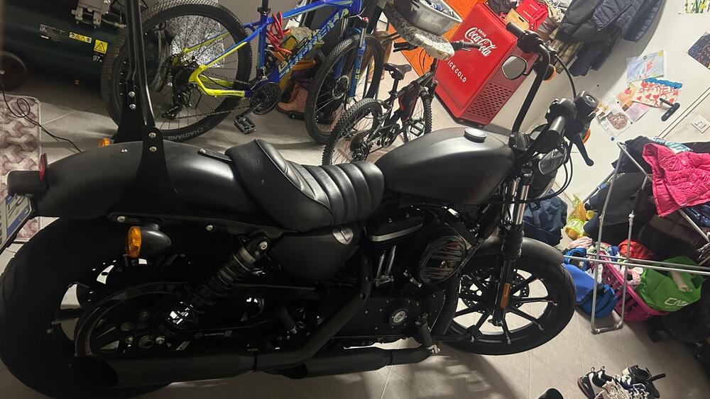 Harley-Davidson 883 Iron (2017 - 20) - XL 883N (2)