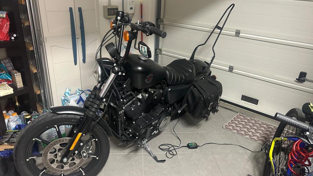 Harley-Davidson 883 Iron (2017 - 20) - XL 883N (3)