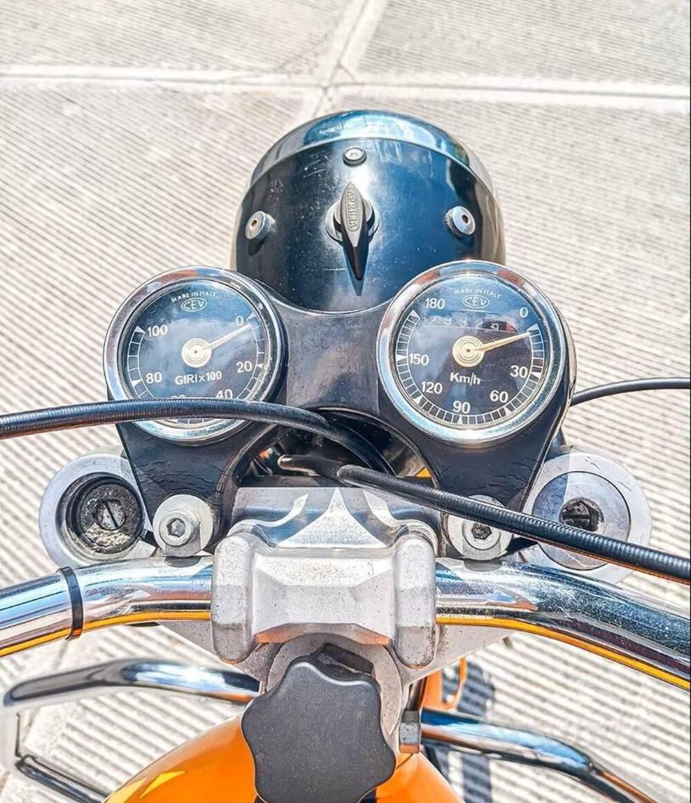 Ducati Scrambler 250 (6)