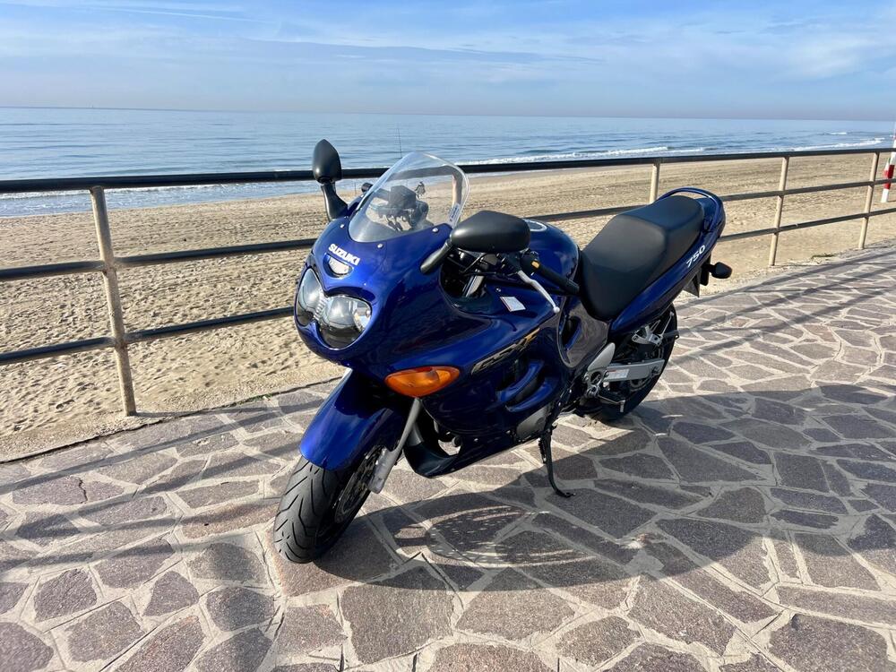 Suzuki GSX 750 F (1999 - 06) (5)