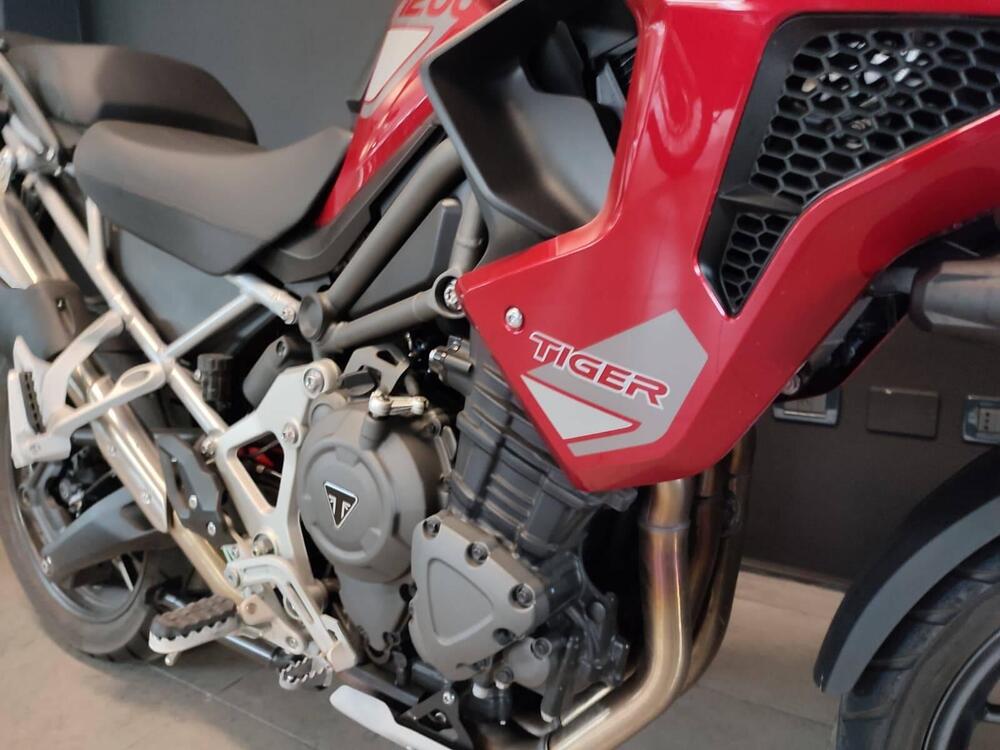 Triumph Tiger 1200 GT Pro (2024 - 26) (4)