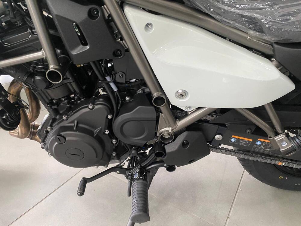 Kawasaki Eliminator 500 (2024 - 26) (9)