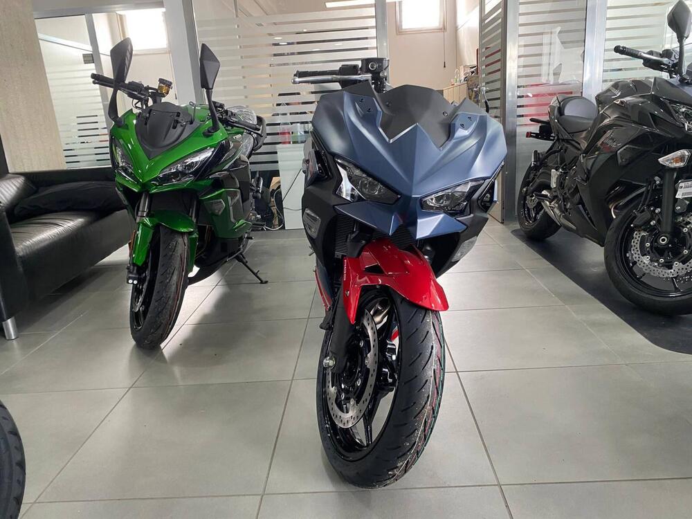 Kawasaki Ninja 500 SE (2024 - 26) (3)