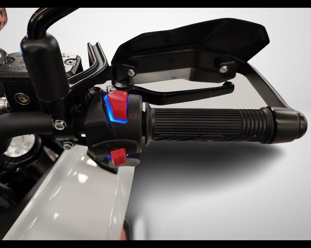 Benelli TRK 702 (2023 - 25) (11)