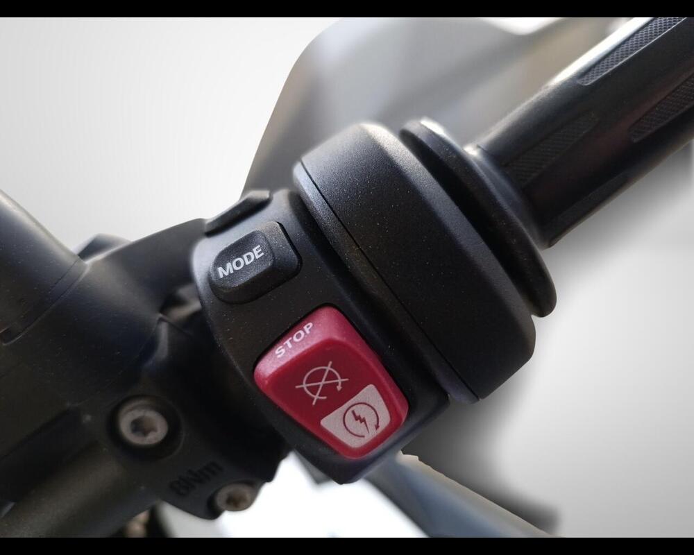 Bmw R 1250 GS (2021 - 24) (10)