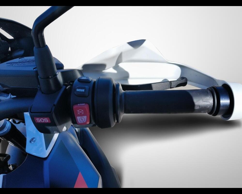 Bmw R 1250 GS (2021 - 24) (10)