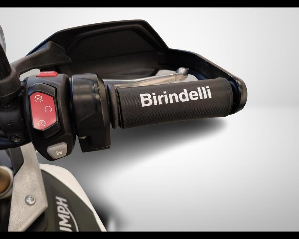 Triumph Tiger 900 Rally Pro (2020 - 23) (11)