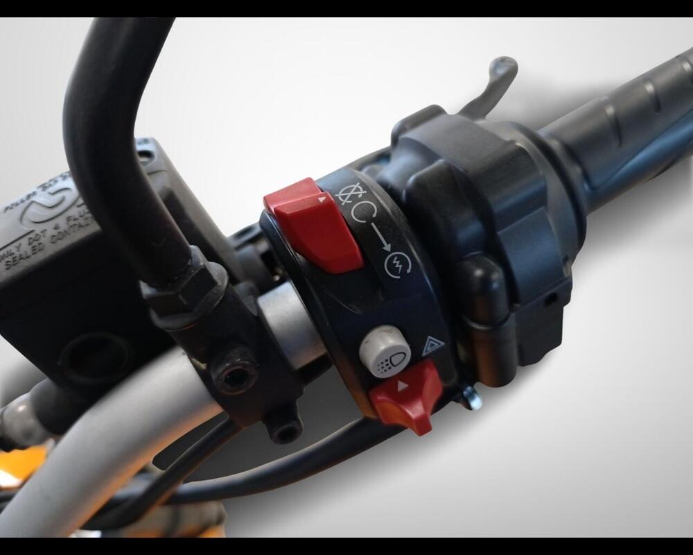 Ducati Scrambler 800 Icon (2023 - 24) (10)