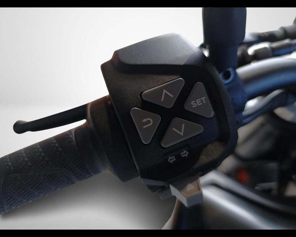 KTM 790 Duke (2018 - 20) (10)